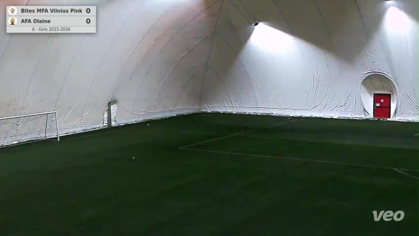 Bites MFA Vilnius Pink - AFA Olaine