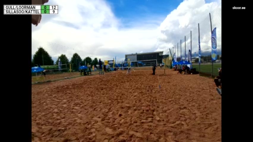 Gull/Loorman - Sillasoo/Kattel