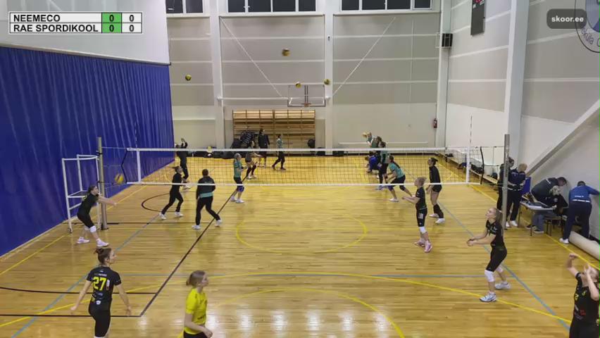 Neemeco - Rae Spordikool