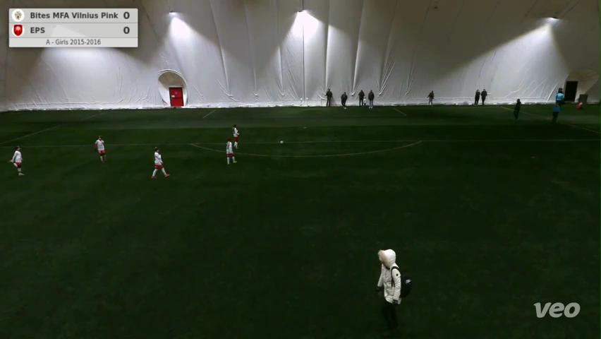 Bites MFA Vilnius Pink - EPS